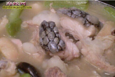 蛇咬鸡,蛇咬鸡做法,什么是蛇咬鸡