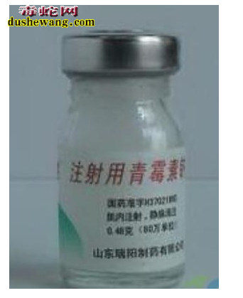 养蛇治病药物