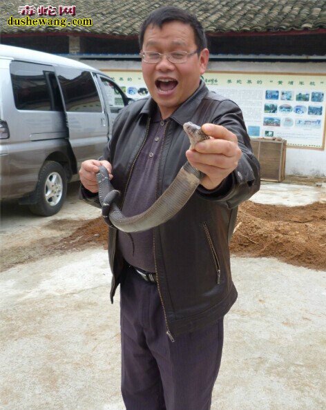 雷村蛇场养蛇技术培训