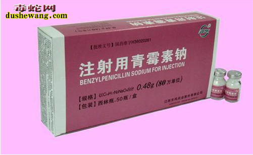养蛇场如何正确的使用青霉素