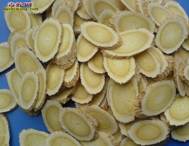 黄芪多糖在养蛇中的作用