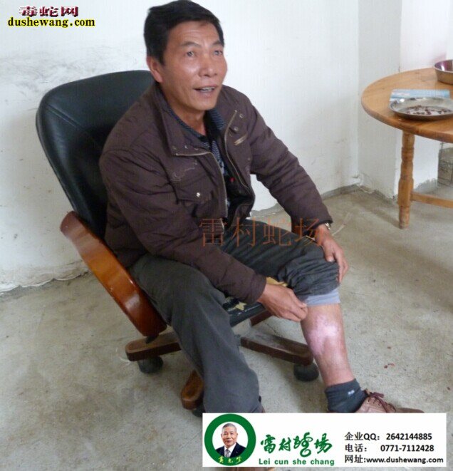 雷村蛇场