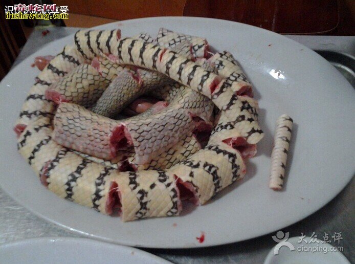 南蛇图片