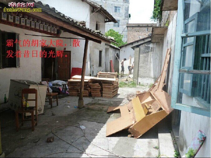 雷村蛇场
