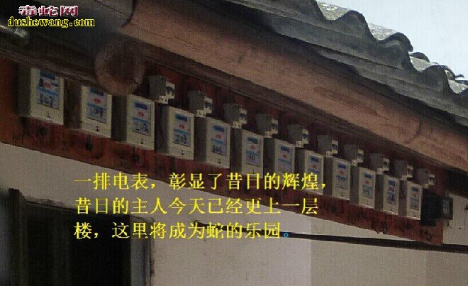 雷村蛇场