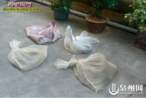现在养蛇赚钱吗