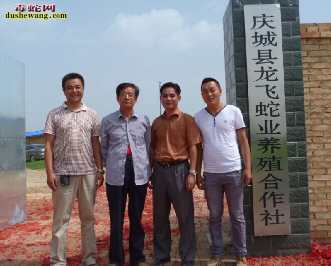 投资养蛇