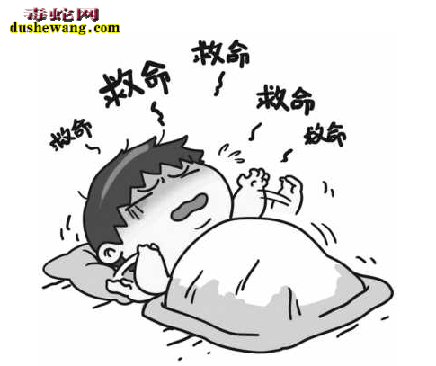 梦到响尾蛇
