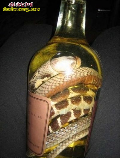 银环蛇怎么泡酒