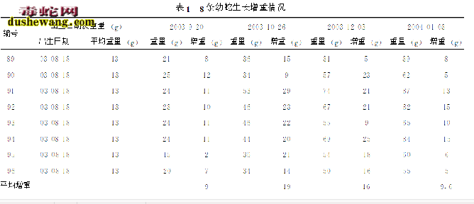 滑鼠蛇的养殖