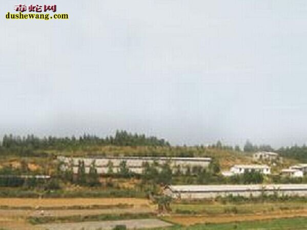 养蛇补助,特征养殖政府补贴