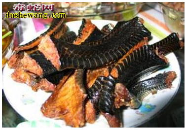 蛇肉的吃法