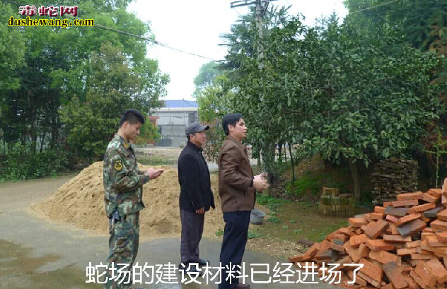 广西雷村蛇场,养蛇技术培训