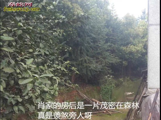广西雷村蛇场,养蛇技术培训