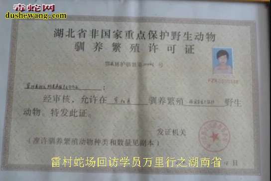 广西雷村蛇场-回访学员万里行之湖南