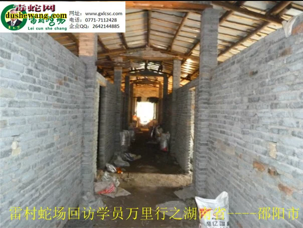 广西雷村蛇场,养蛇技术培训