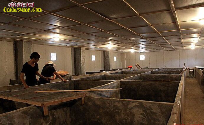 养殖蛇多久能见利润