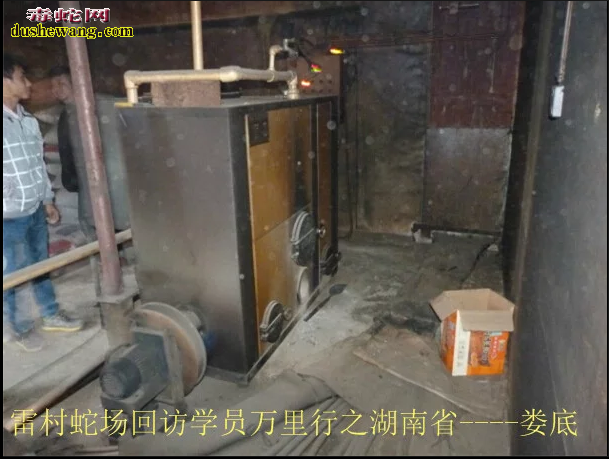 广西雷村蛇场,养蛇技术培训