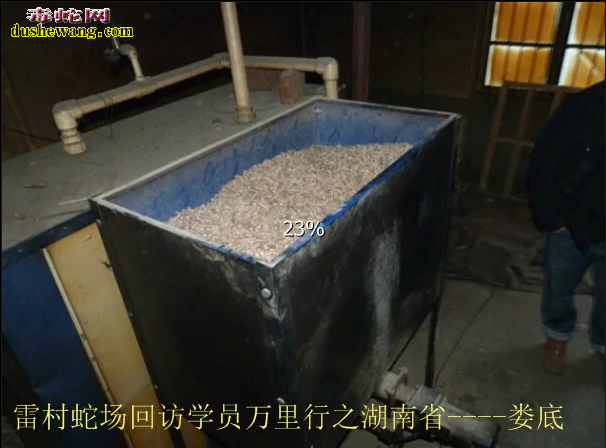 广西雷村蛇场,养蛇技术培训