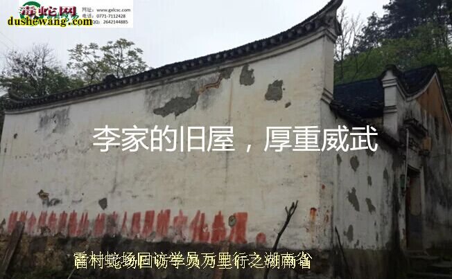 广西雷村蛇场,养蛇技术培训