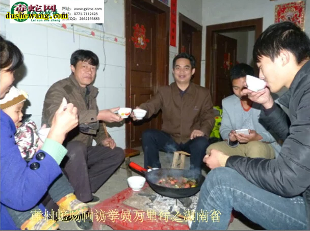 广西雷村蛇场,养蛇技术培训