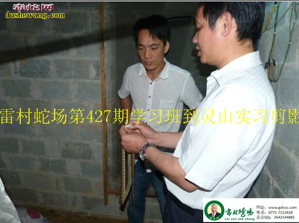 广西雷村蛇场养蛇技术培训第427期