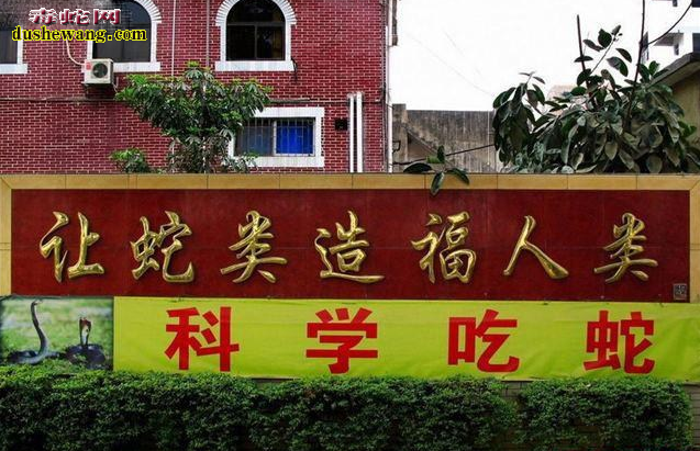 蛇肉市场