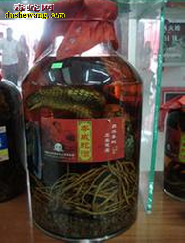 三蛇酒有什么功效