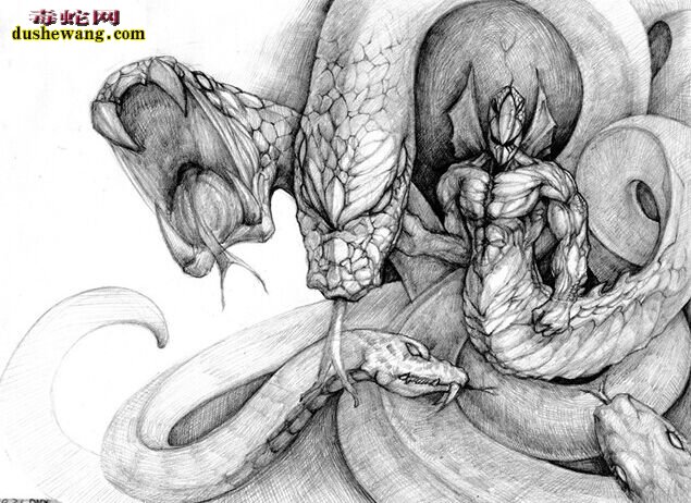 素描蛇图片