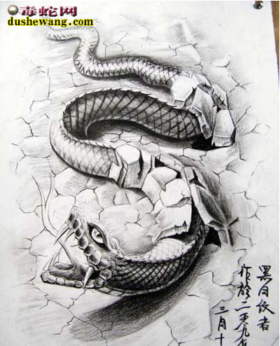 素描蛇图片