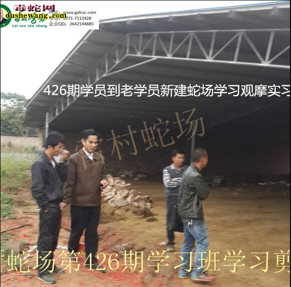 广西雷村蛇场