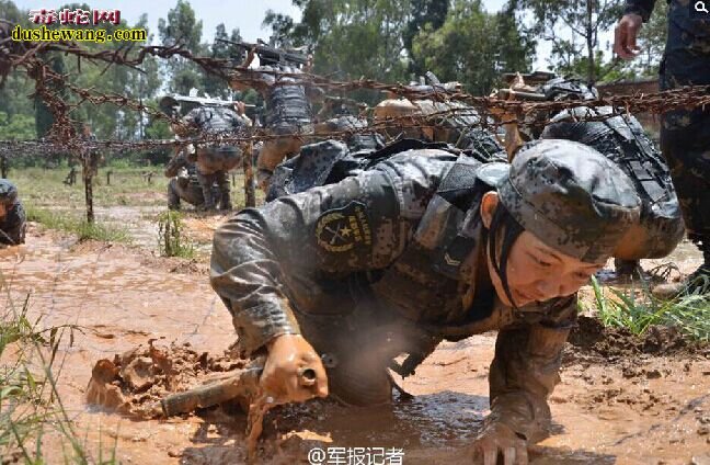 解放军女特种兵残酷训练曝光:蛇群中取枪