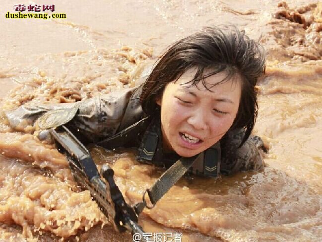 解放军女特种兵残酷训练曝光:蛇群中取枪