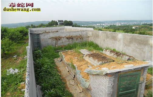 【乌梢蛇养殖场建设】乌梢蛇养殖场建设方法、设计图