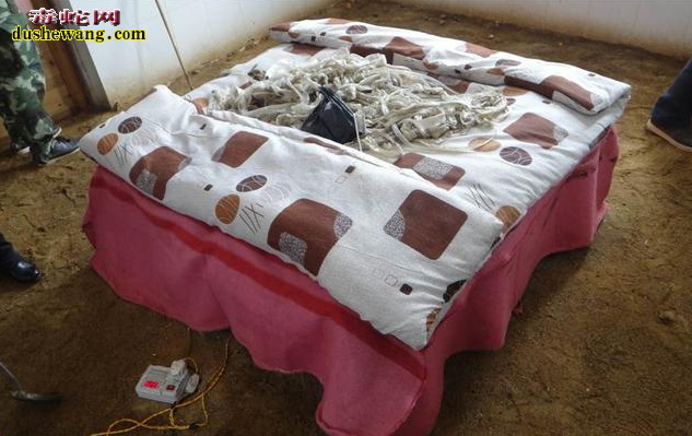 【现在养蛇还赚钱吗】养蛇业的发展前景如何?
