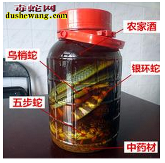 【三蛇酒配方】泡三蛇酒放什么药材好?