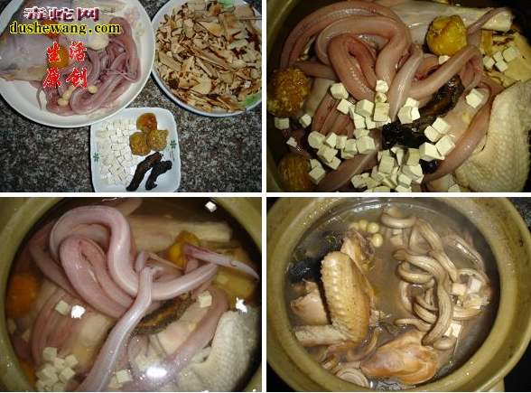 【水蛇煲鸡汤】的做法,水蛇煲鸡汤放什么才好吃?