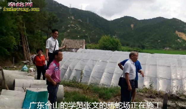 养蛇培训学员建造蛇场