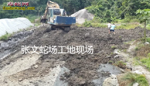 养蛇技术培训学员蛇场建造