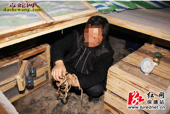 蛇箱养蛇设计