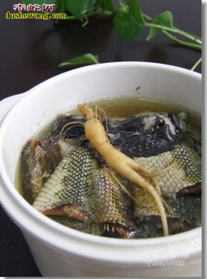 海蛇煲汤