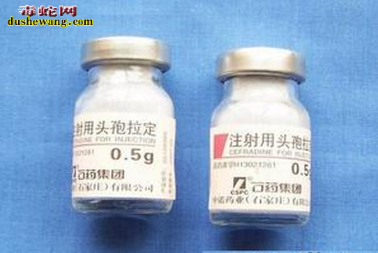 蛇肺炎药物