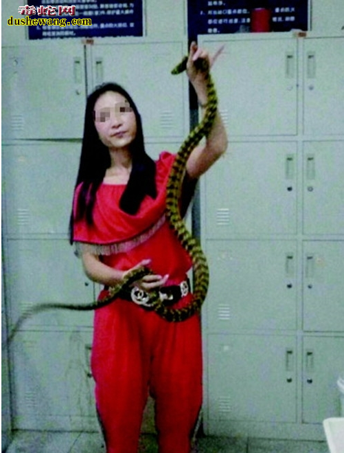 宣城美女带2米长宠物蛇坐火车被拦下