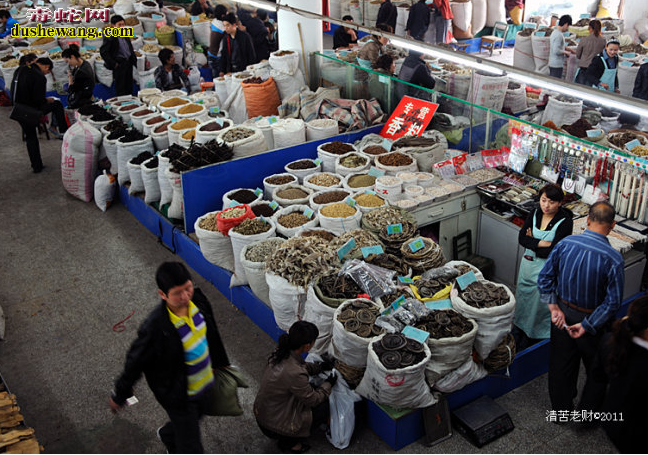 赤练蛇市场导向 赤练蛇市场价值