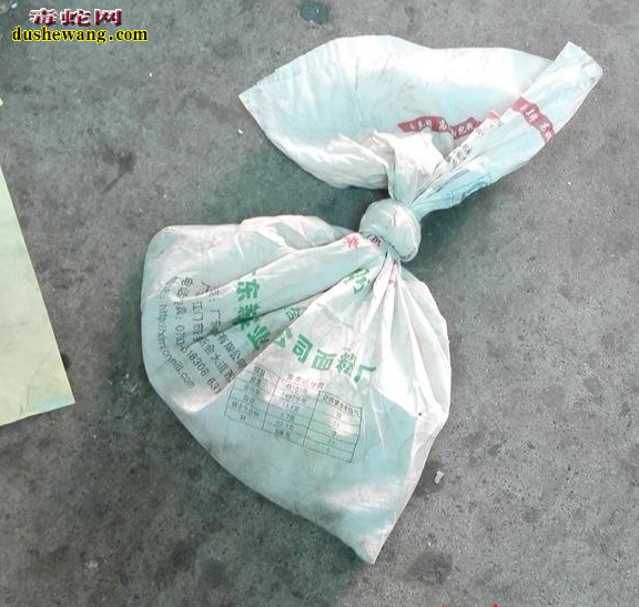 海口美兰机场货运快递邮包中现一米长毒蛇