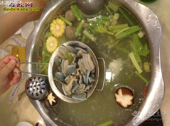 乌梢蛇药食同源专题