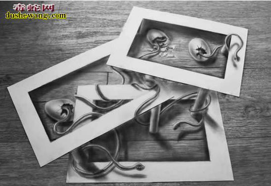 蛇素描图片10