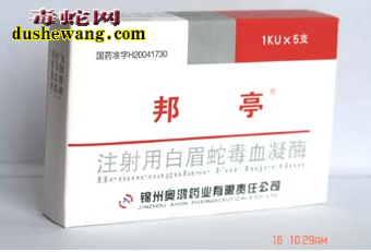 白眉蛇毒