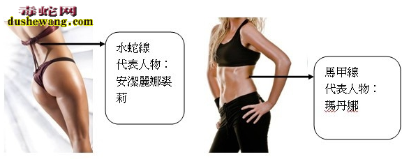 水蛇线图片