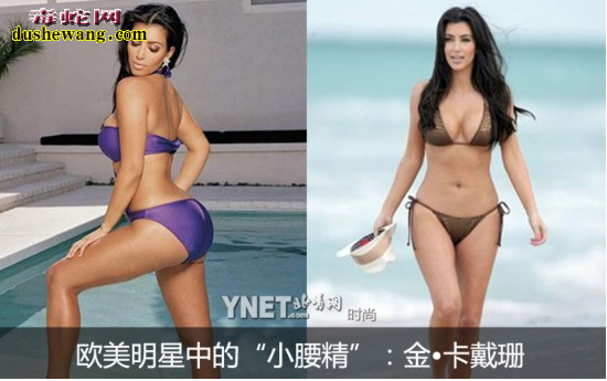 水蛇线图片